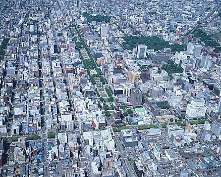 soi bạch thủ lô