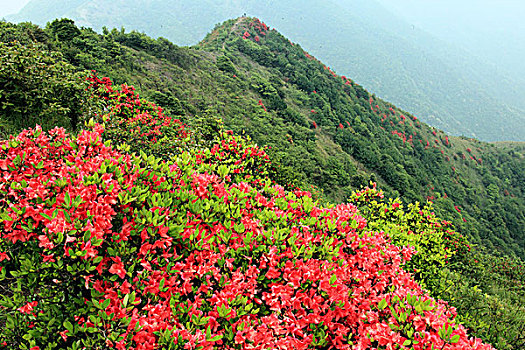 lo song thu hom nay
