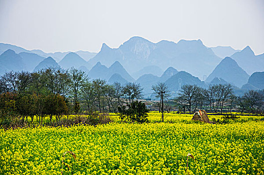 lô khung 2 ngày miễn phí