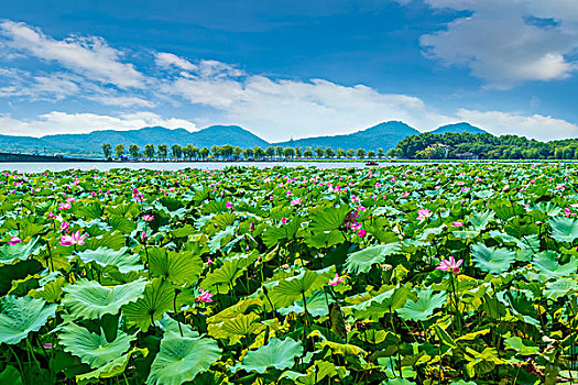 xổ số miền nam chiều nay