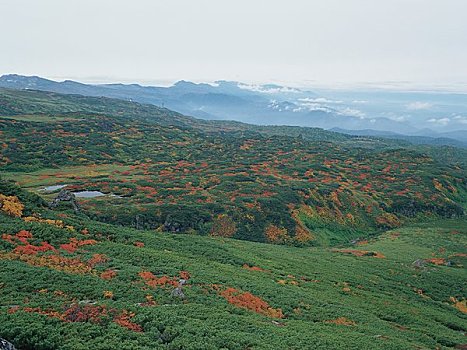 quay thử xổ số hôm nay