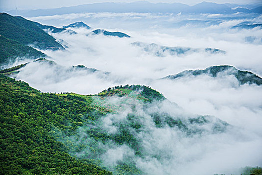 thống kê cầu bạch thủ