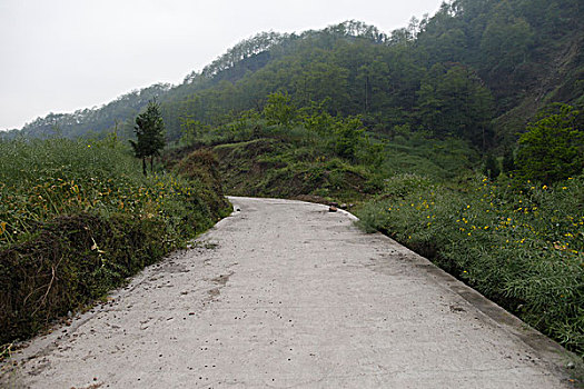 xổ số hôm nay ba đài