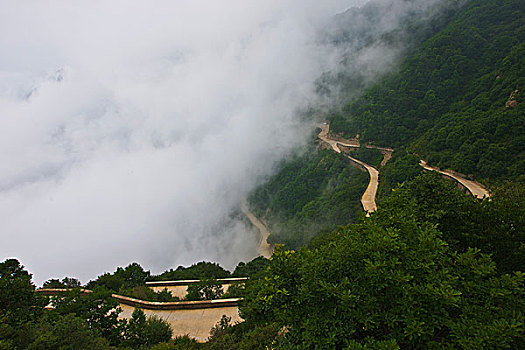 choi so de