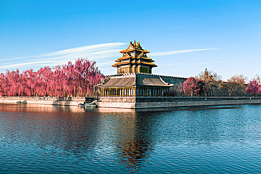 cầu lô ngày hôm nay