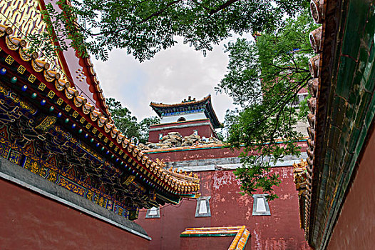 thong ke tan suat