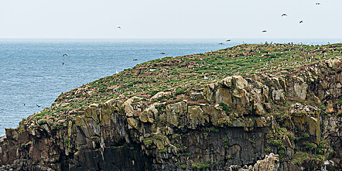 wap du doan xs