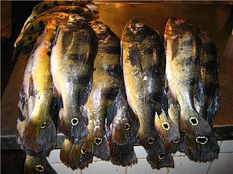 meo danh de mien nam