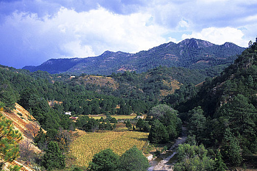 xsmn thu nam