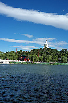 soi cau bach thu lo