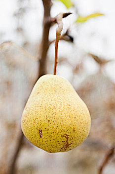 số đồng nai