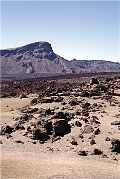 du doan mb