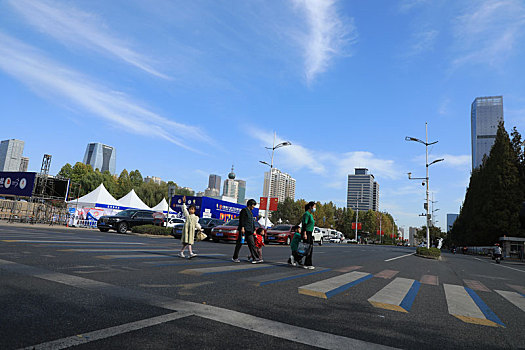 bạch thu lo mb