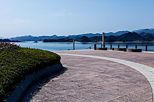 soi lo rong bach kim