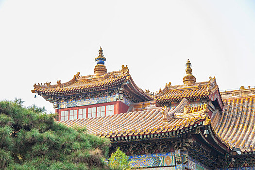 xổ số cà mau hàng tuần