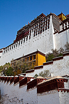 dự đoán soi cầu
