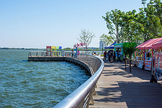 gà rừng đá