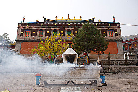 cầu bạch thủ bình định