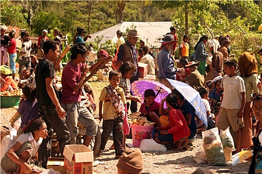 soi cau bac trung nam