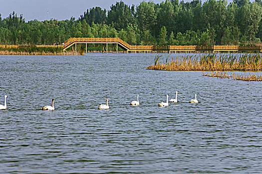 soi cầu đề chuẩn