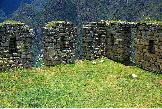 du doan rong bach kim