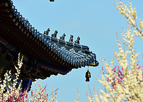 cách soi đề