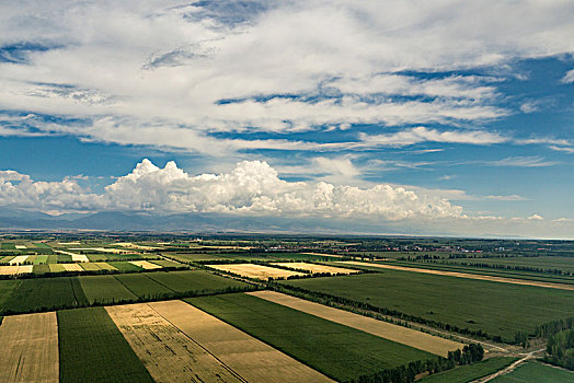 miền bắc chủ nhật