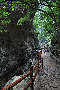 cầu miền bắc