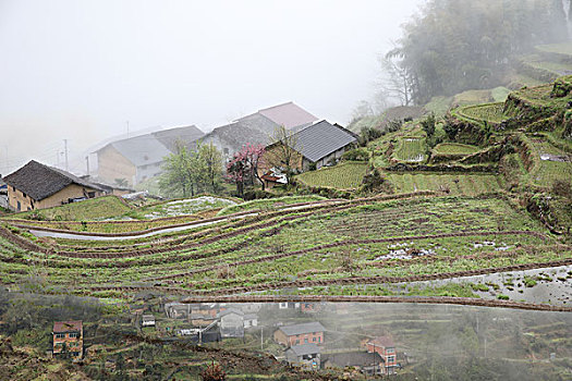 soi cầu ba miền