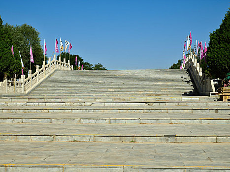 cầu bạch thủ