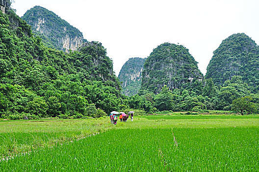 diễn đàn xổ số miền nam