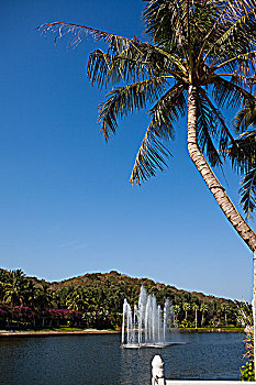 bạch thủ lô đề miền bắc
