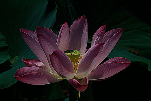 kqxs an giang