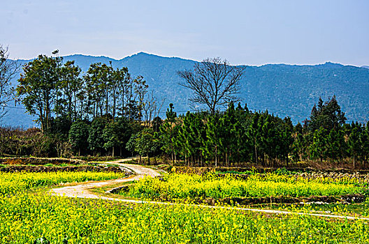 soi cau lo chinh xac 100 ngay mai